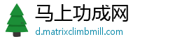 马上功成网